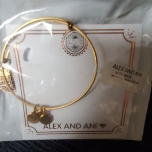 ANDI AND ANI